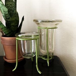 Propagation glass jars with metal base